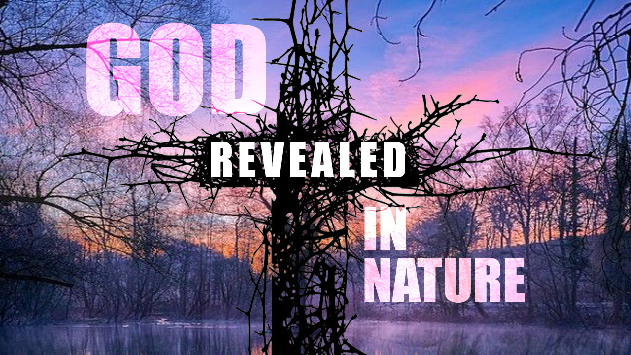 God Revealed In Nature - Complexity