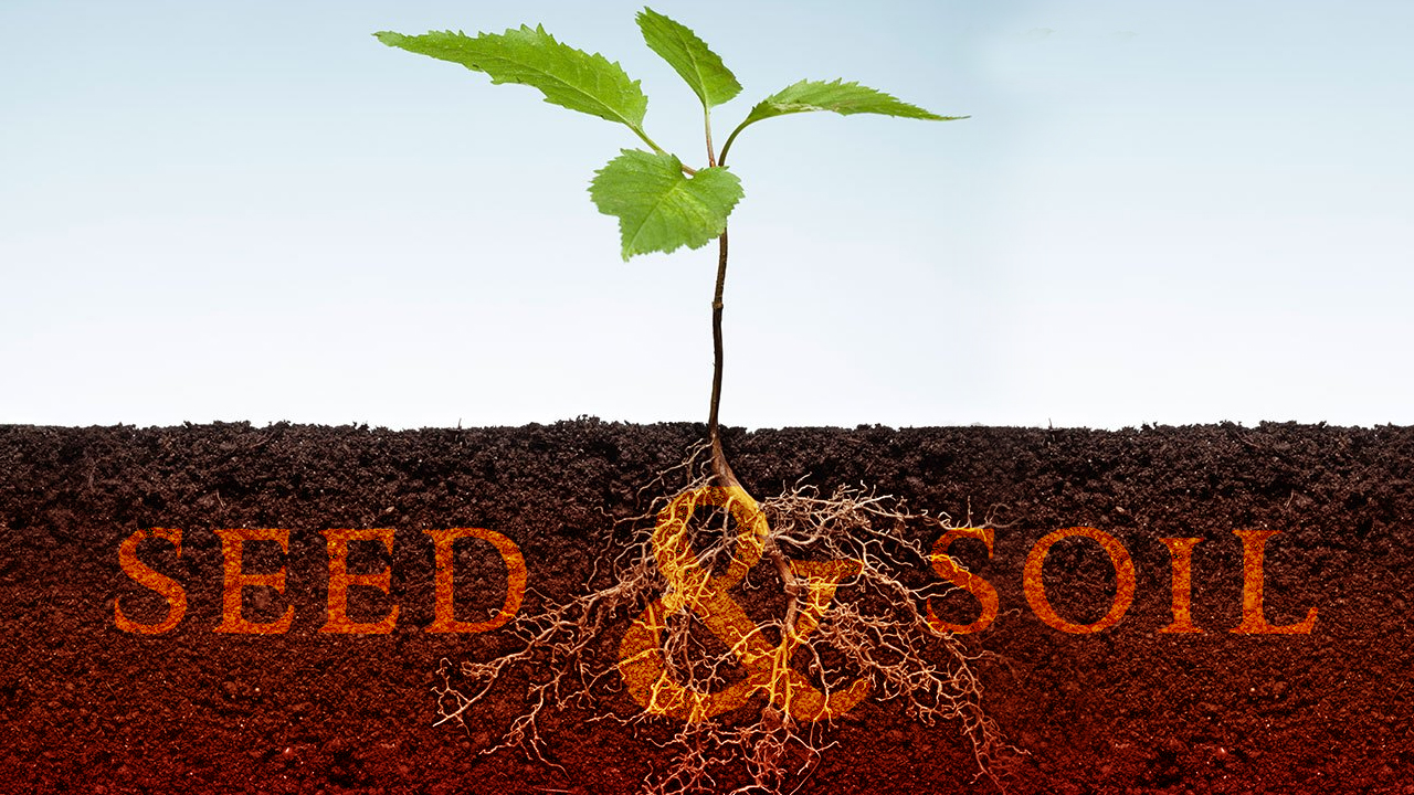 Seed and Soil” (Lk. 8:4-15)